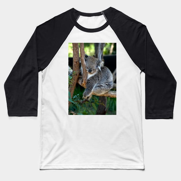 It's Hard Work Being A Koala Baseball T-Shirt by GP1746